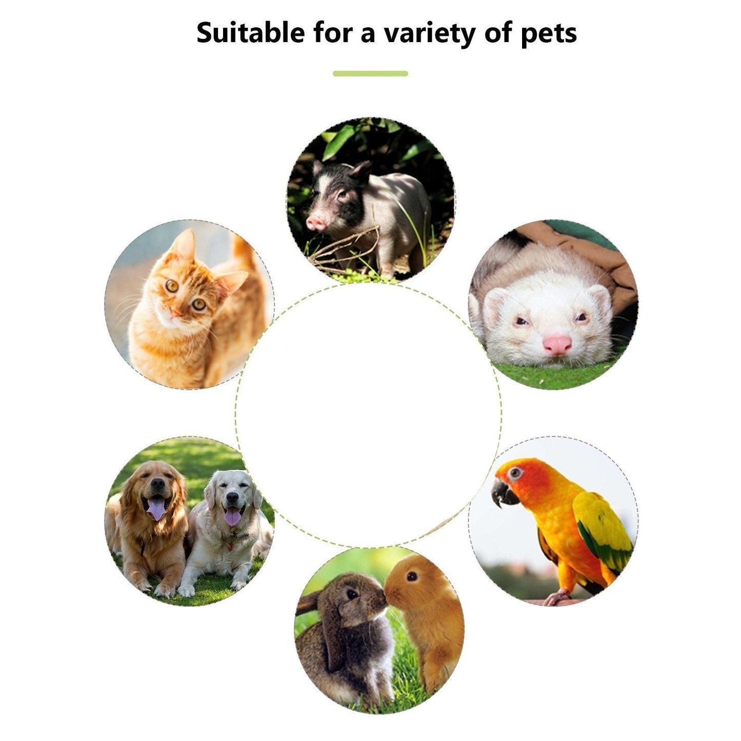 Dog Whistle with Clicker β 2-in-1 Trainer